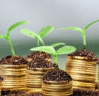 چهارباغ، قطب گل و اقتصاد سبز در ایران