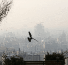 کیفیت هوا در برخی شهرهای البرز به وضعیت خطرناک رسید