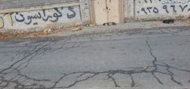 ایجاد مشکل سگ های ولگرد در محله چهار فصل ماهدشت